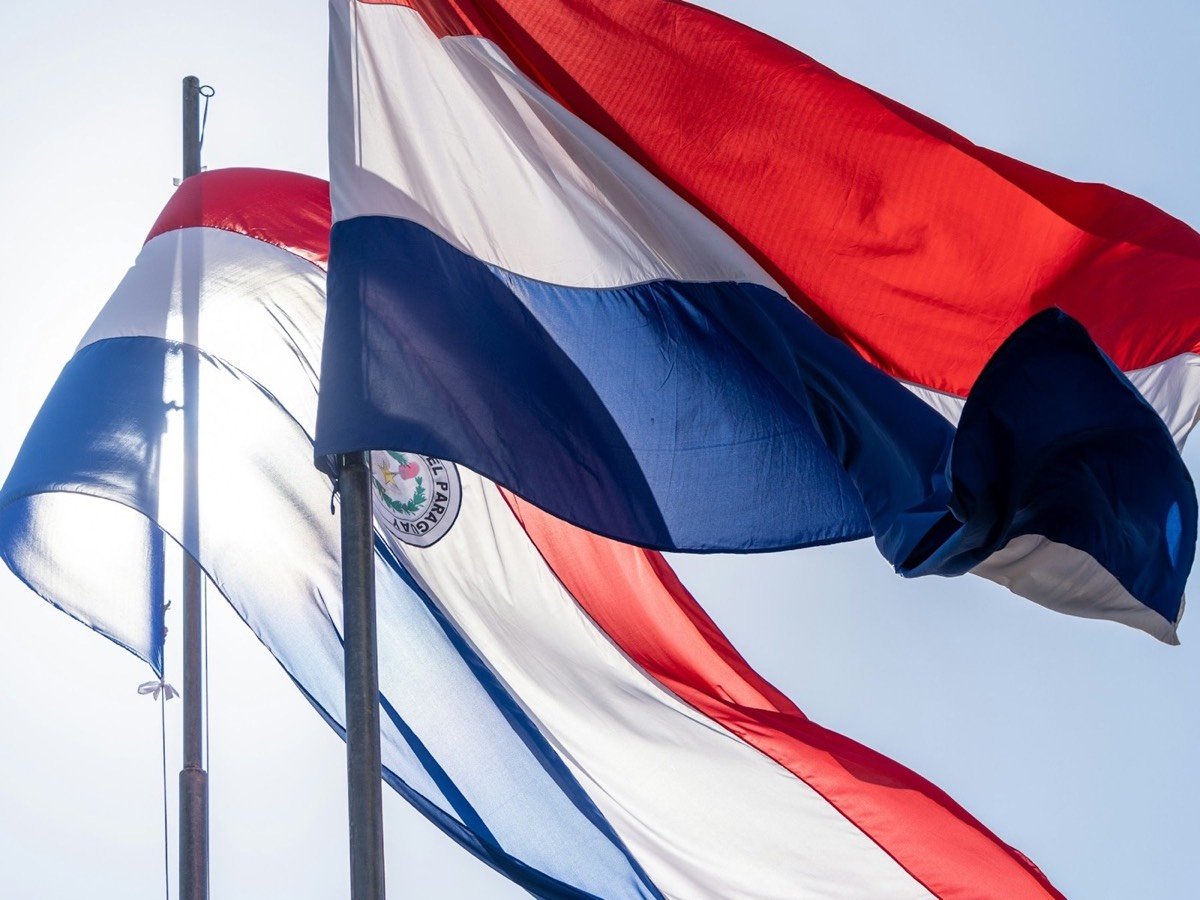 Drapeaux paraguayens flottant dans un ciel bleu