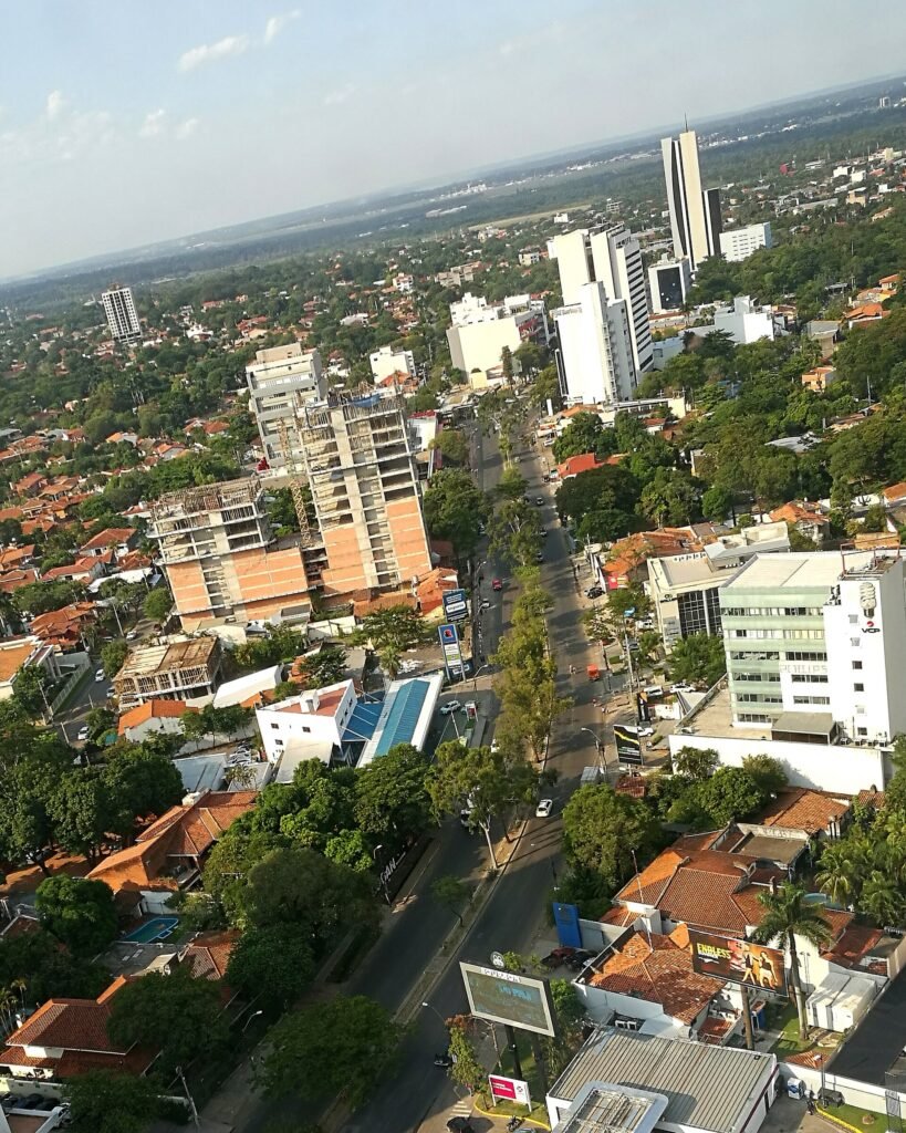 Avenida Aviadores del Chaco, one of Asunción’s commercial corridors.